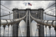 NEW YORK očima Nayevo