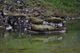 Výstava_L. Schmidtmajer: Island