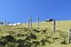 Výstava_L. Schmidtmajer: Island