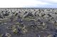 Výstava_L. Schmidtmajer: Island